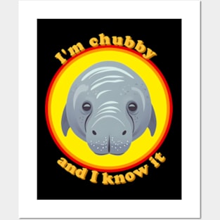 I am chubby and i know it Posters and Art